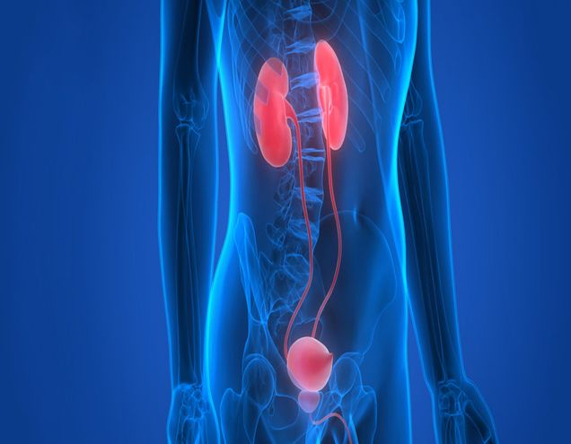 Sh Moolchand kidney Hospital